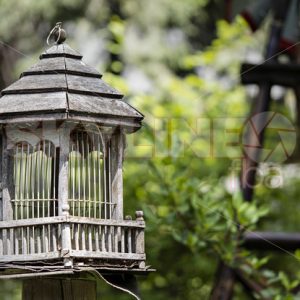 Rustic Garden Birdhouse - Skyline FBA