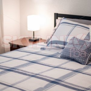 Blue and White Mattress Comforter and Pillows - Skyline FBA