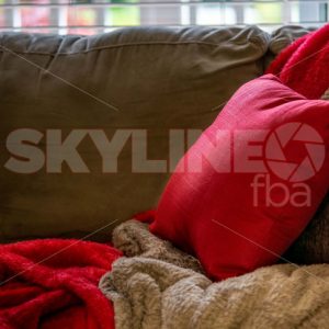 Lifestyle Image of Pillows and Throw Blanket - Skyline FBA