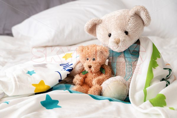 Teddy Bears Cuddled Within Minky Blanket - Skyline FBA